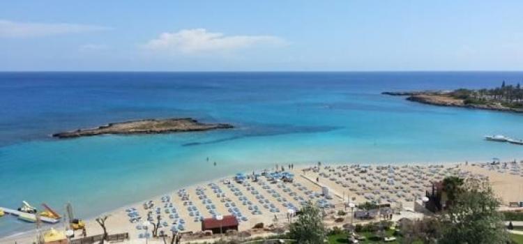 Fig Tree Protaras