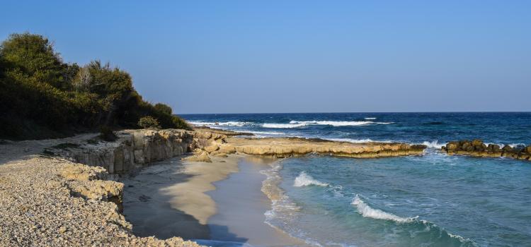 Cove